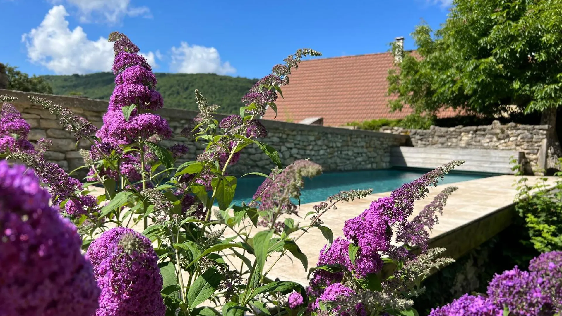 Les Granges De L'Eblouaz Bed & Breakfast Saint-Rambert-en-Bugey
